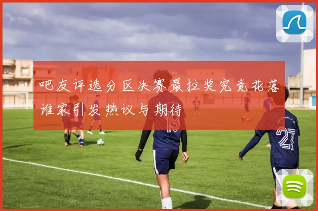 吧友评选分区决赛最拉奖究竟花落谁家引发热议与期待
